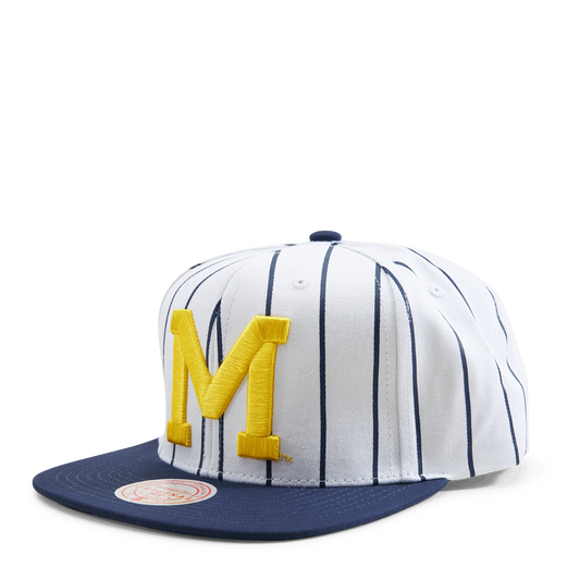 Michigan Newco Snapback