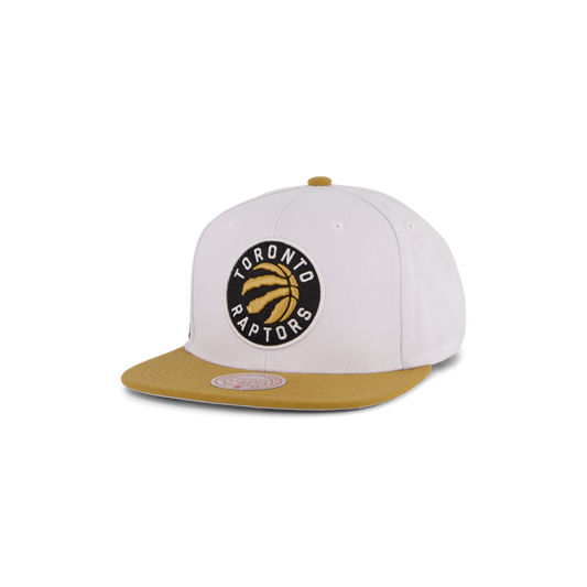 Raptors Side Core 2.0 Snapback